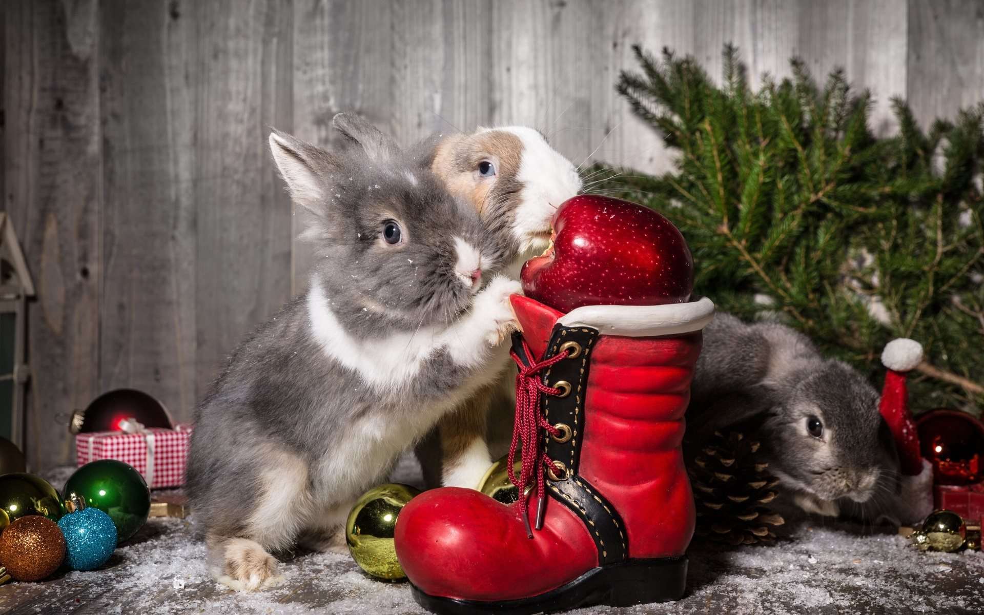 Новогодние обои 2023 с Кроликом и ёлкой