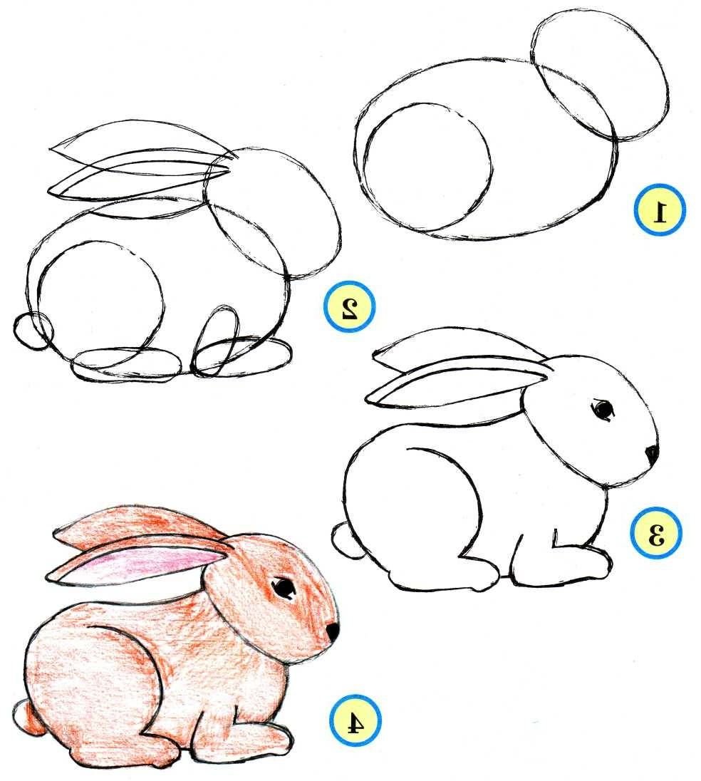 Нарисовать Кролика можно достаточно легко. Поэтапная инструкция: Нарисуйте два овала - голову и туловище. Изобразите очертания лица. Дорисуйте уши, глаза, брови. Нарисуйте лапки, хвост. Раскрасьте кролика. Вот ещё несколько инструкций рисования символа 2023: