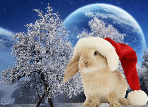 Анимационные новогодние Гиф-открытки с Кроликом