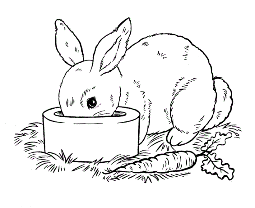 Раскраски с Кроликом на Новый год 2023
