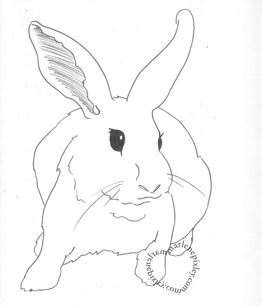 Рисунки с символом 2023 года - Кроликом для детей