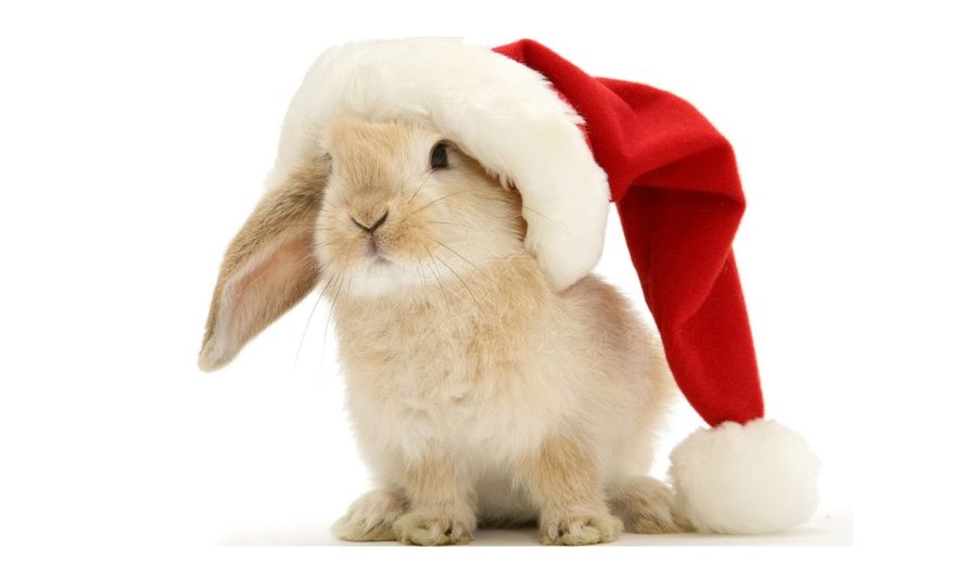 Красивые новогодние календари с Кроликом на 2023 год — скачать бесплатно