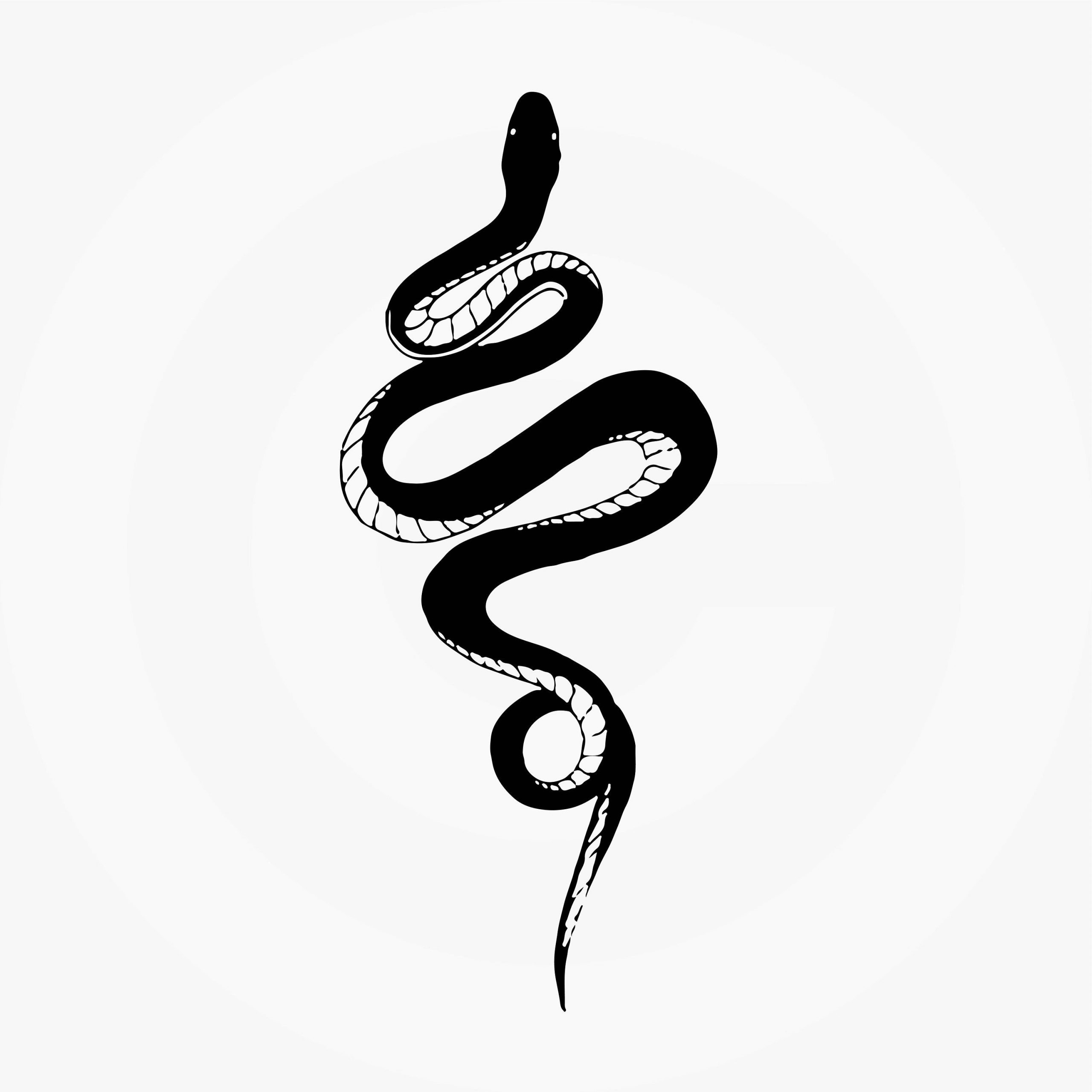 Рисунки для срисовки с символом 2025 года - Змеёй