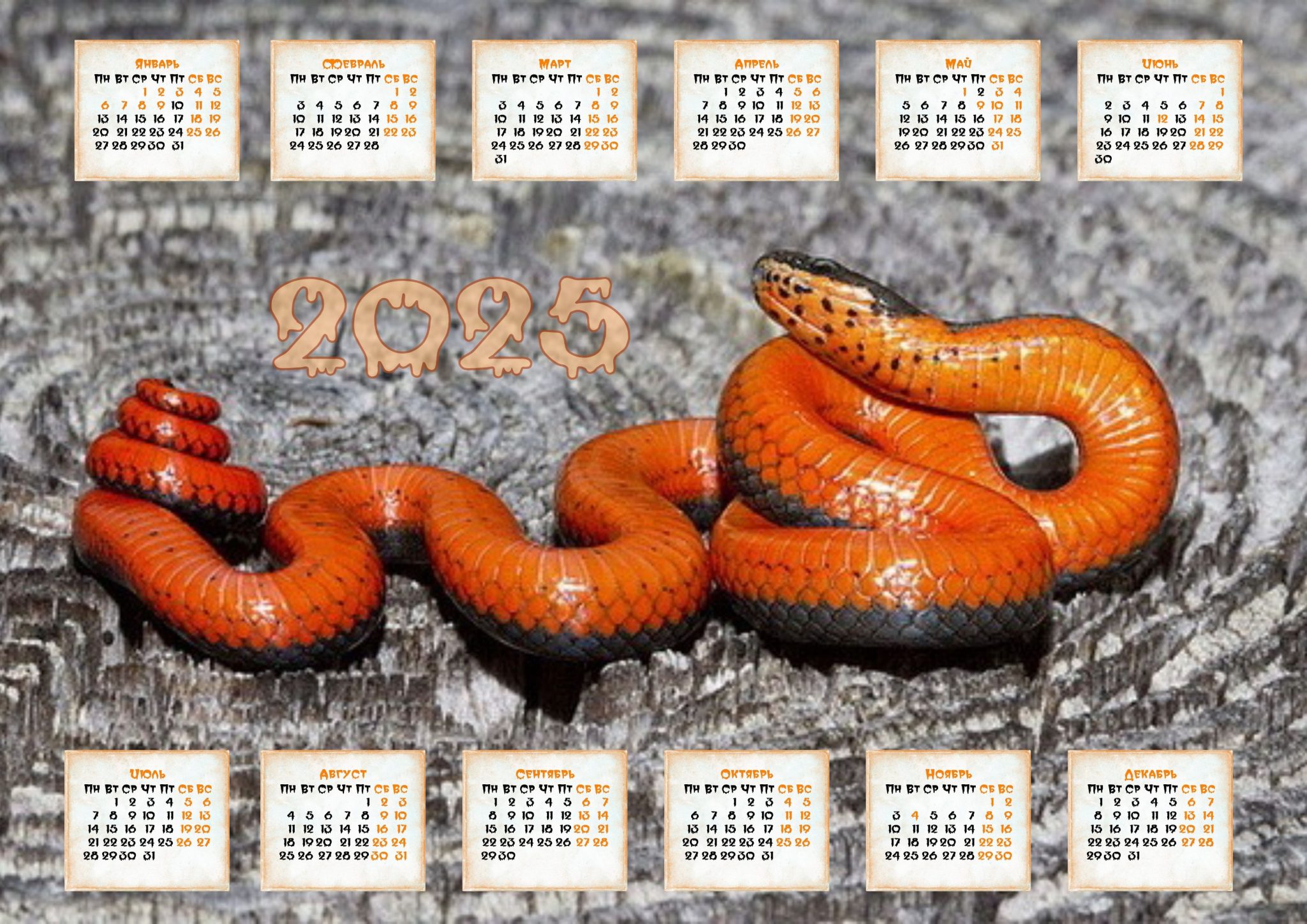 Календари со Змеёй на 2025 год