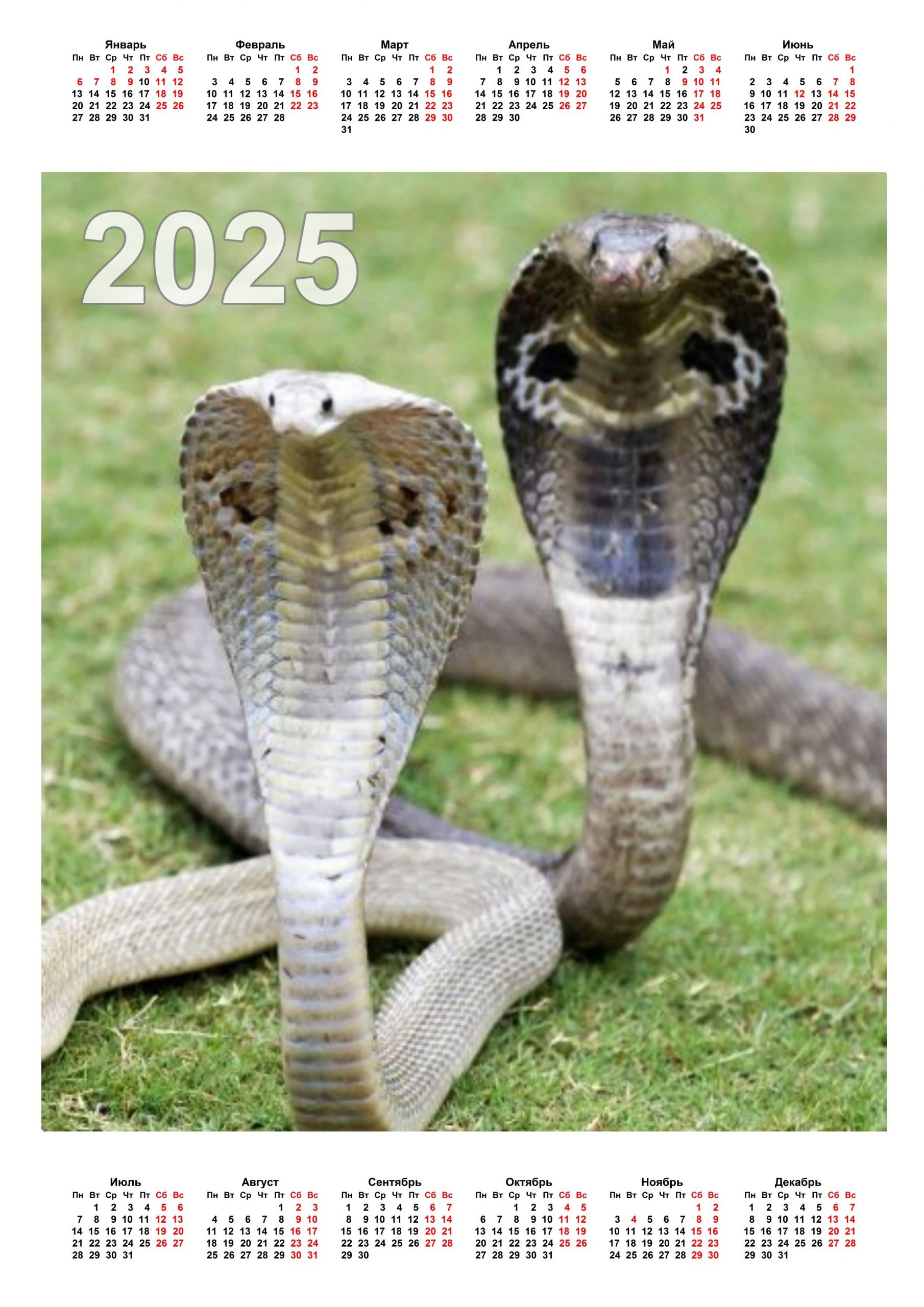Календари со Змеёй на 2025 год
