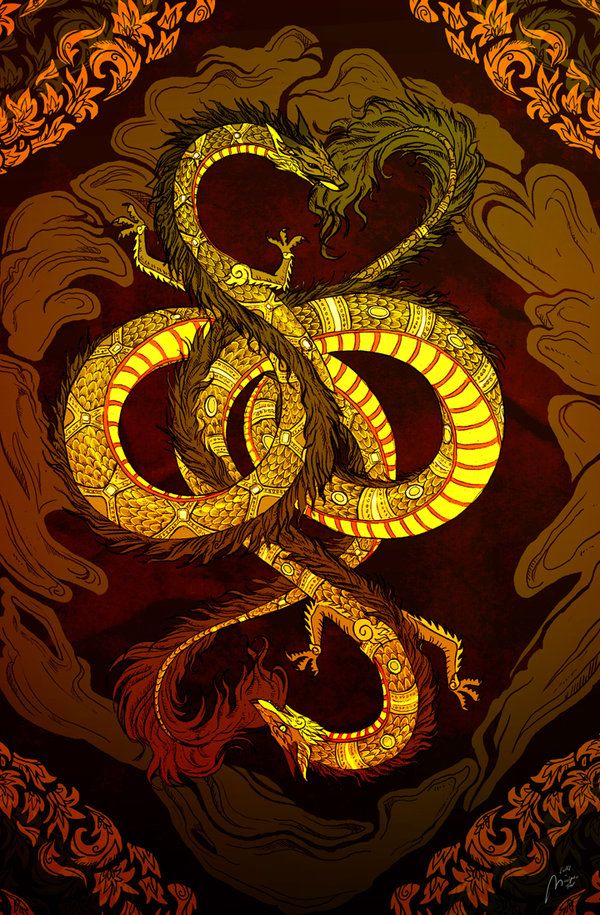Змея и Дракон 2025