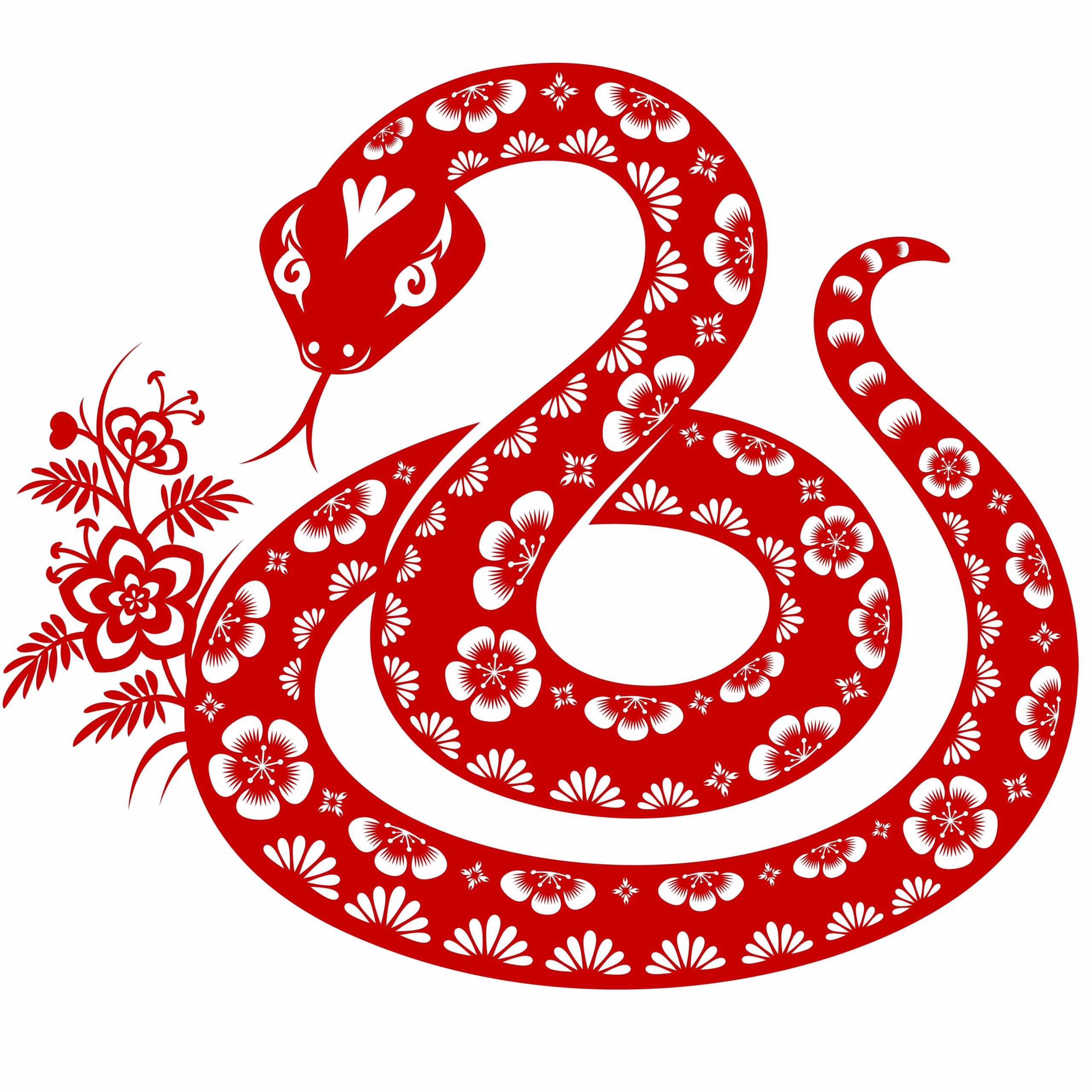 Традиционная китайская Змея 2025